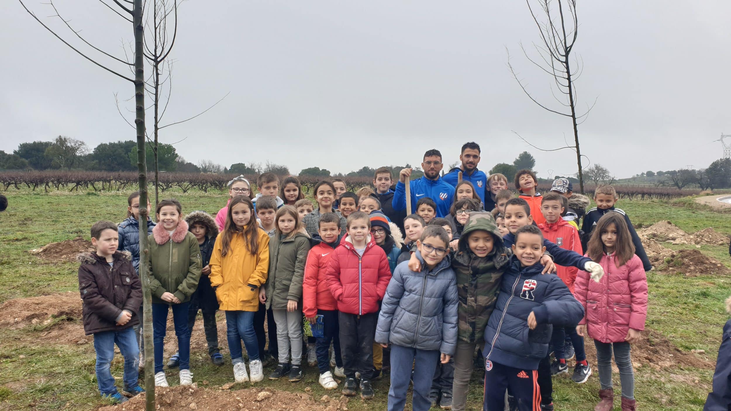 Plantation d’arbres avec le MHSC