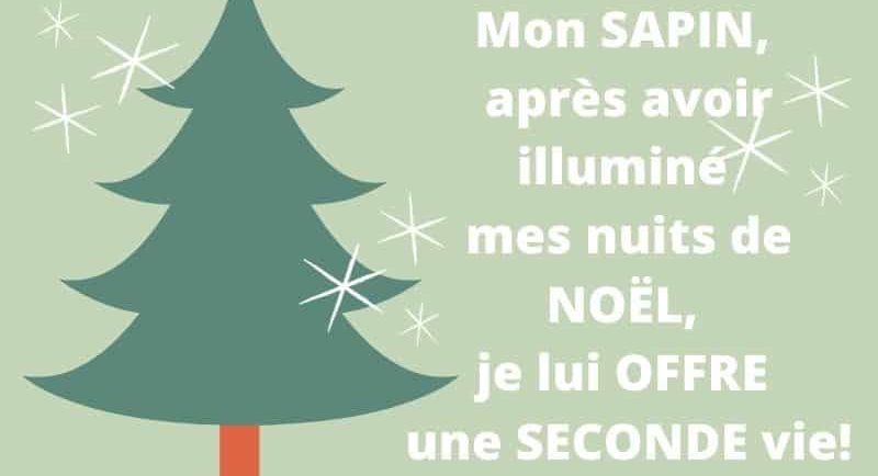 Donnez une seconde vie à vos sapins en les apportant à la déchèterie!