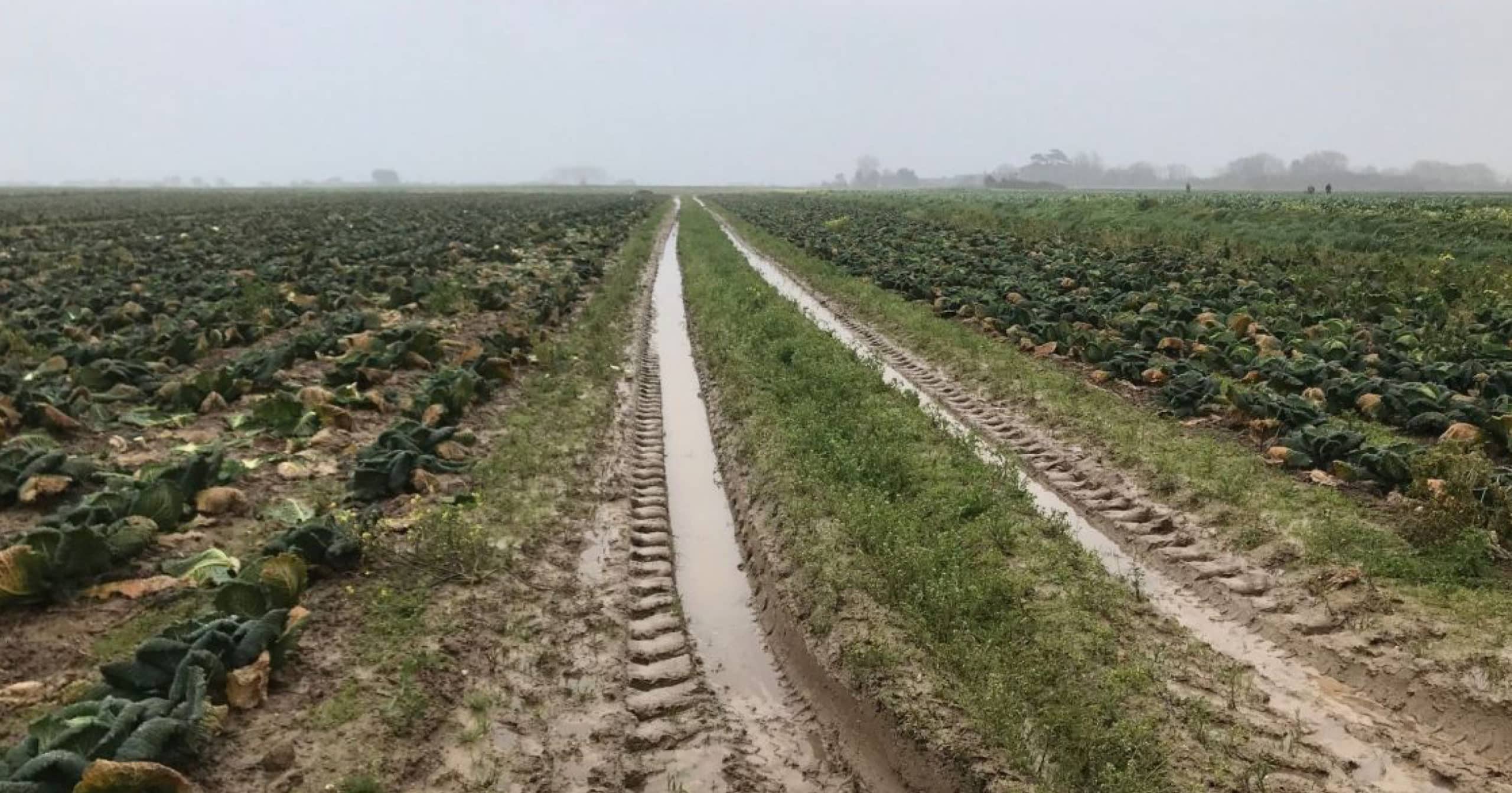 La commune reconnue en calamité agricole pour gel du 4 au 8 avril 2021