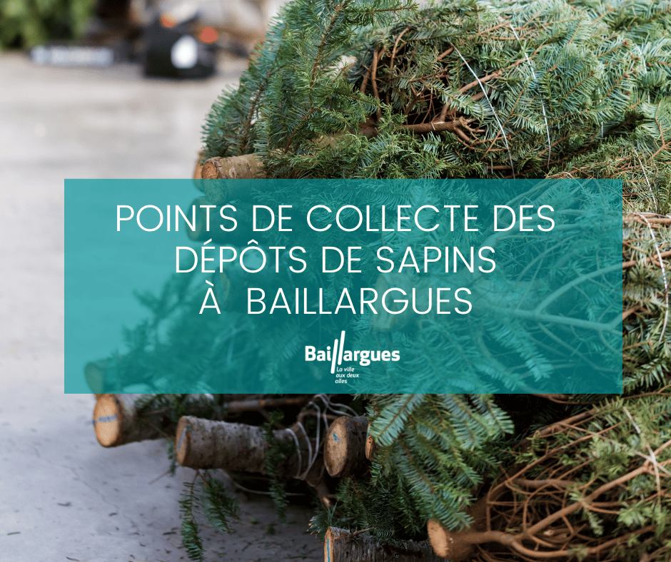 Donnez une seconde vie à vos sapins en les apportant aux différents points de collecte !