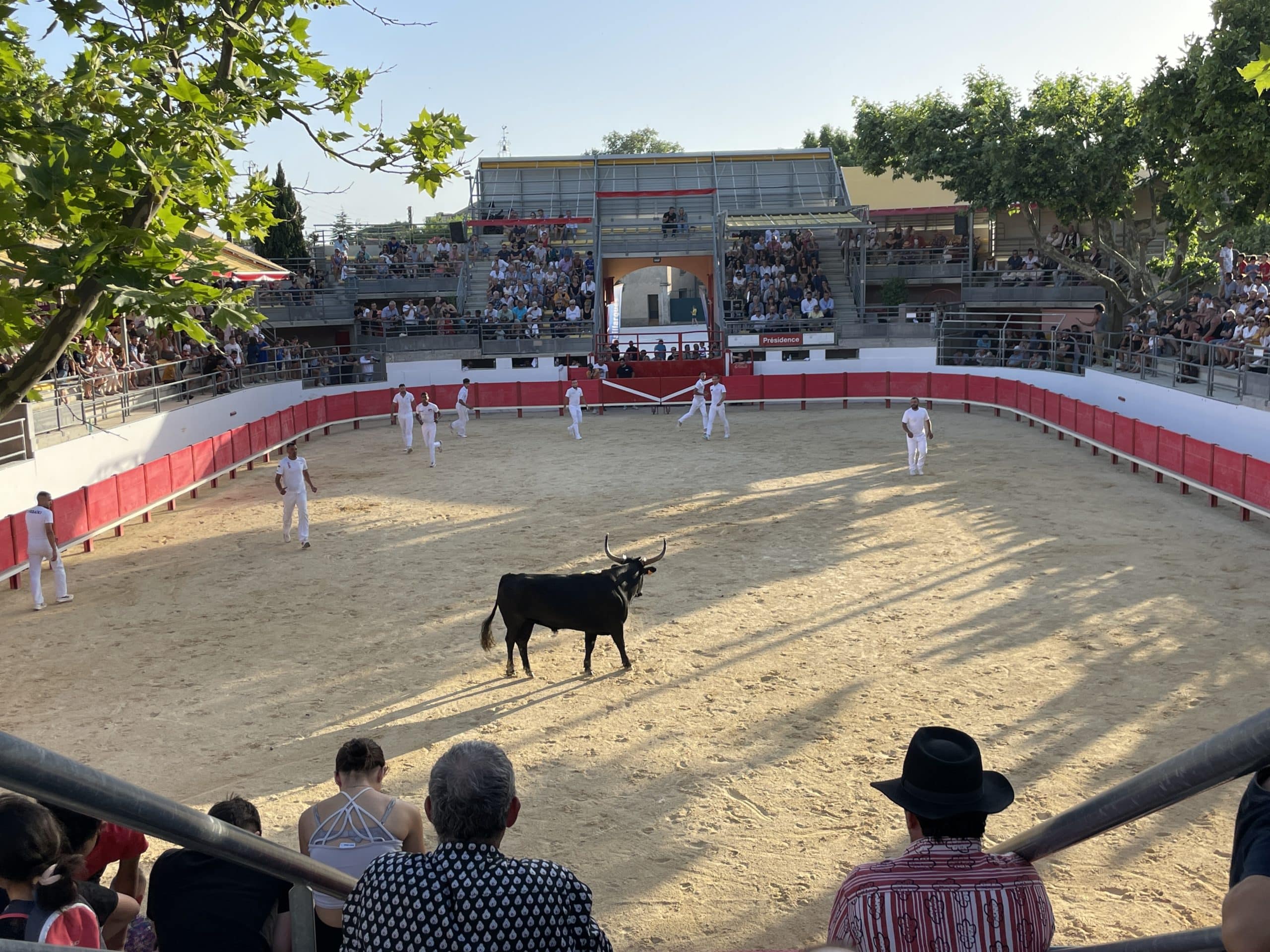 12ème Fête du Taureau