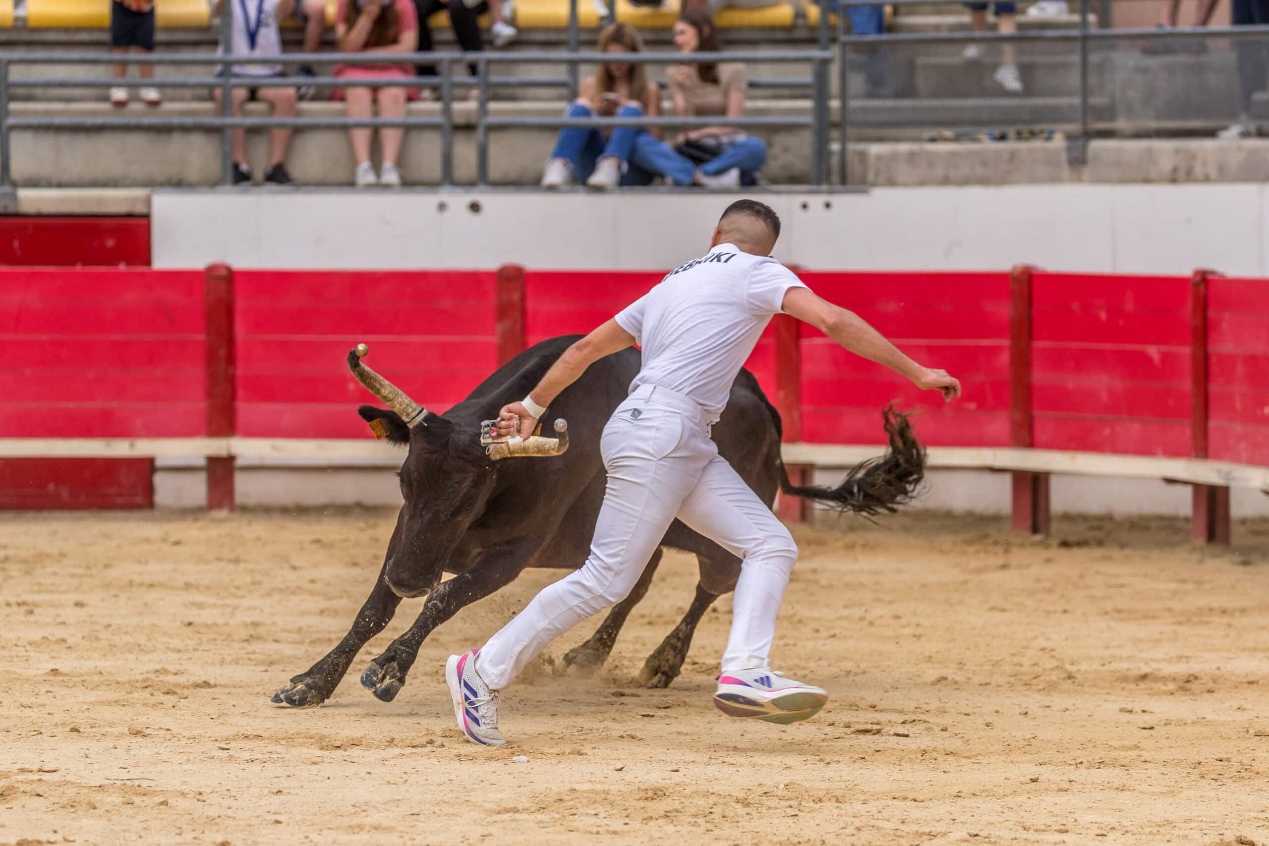 13e Fête du Taureau